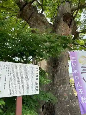 三ツ木神社(埼玉県)