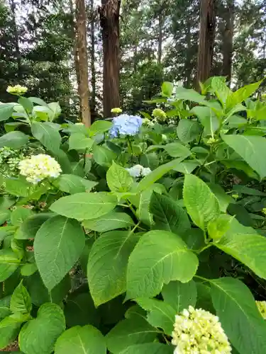 磯山神社の自然