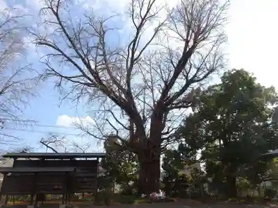 諏訪神社(福島県)