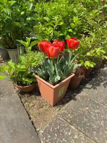 谷中 妙福寺(東京都)