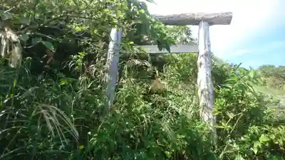 浅間神社の鳥居