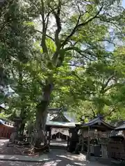 今宮神社(静岡県)