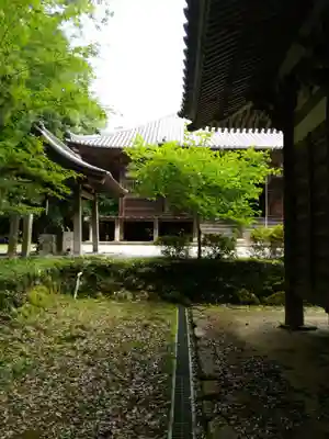 朝光寺のその他建物