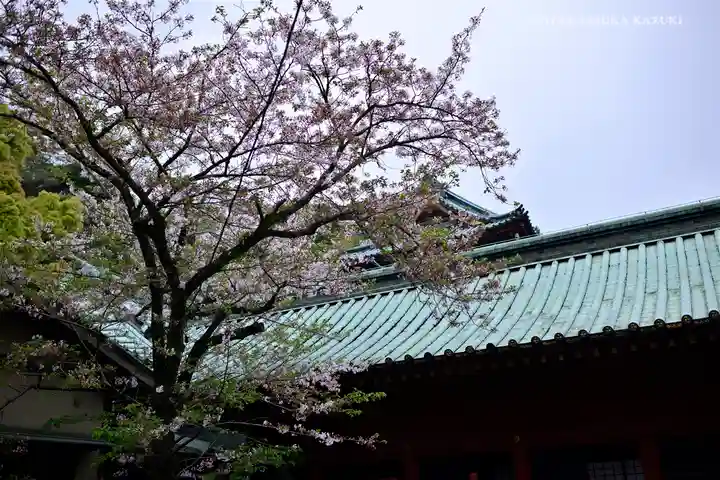 静岡浅間神社のその他建物