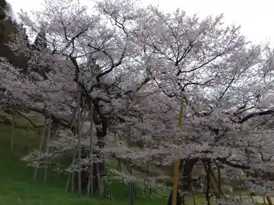 大幢寺(岐阜県)