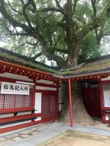 太宰府天満宮の建物その他