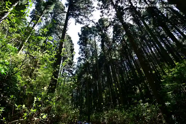 賀毗禮神宮の自然