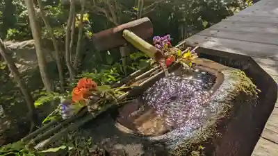 宝泉院(京都府)