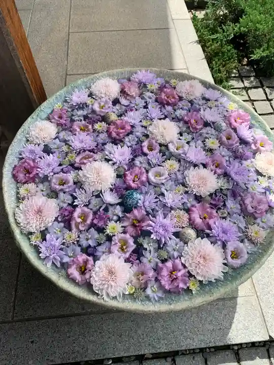 行田八幡神社(埼玉県)