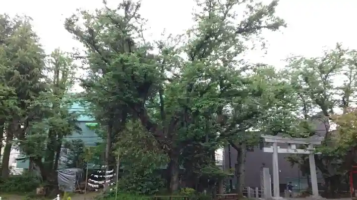 本郷氷川神社(東京都)