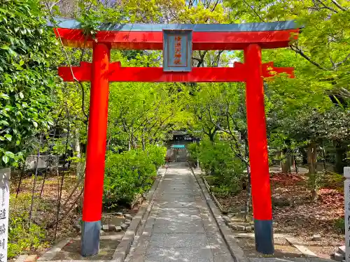 射楯兵主神社の鳥居