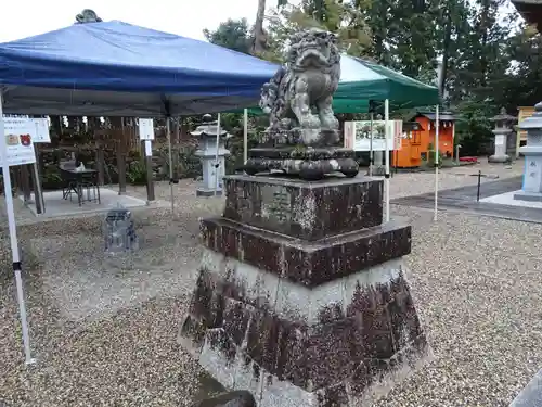 神田神社の狛犬