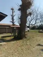 八坂神社(埼玉県)
