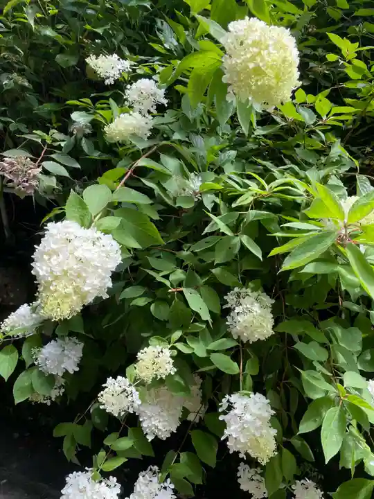 みささぎ権現(愛媛県)