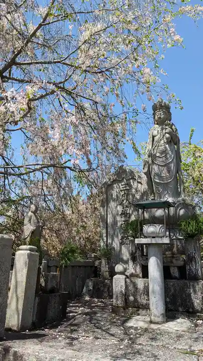 圓光寺(京都府)