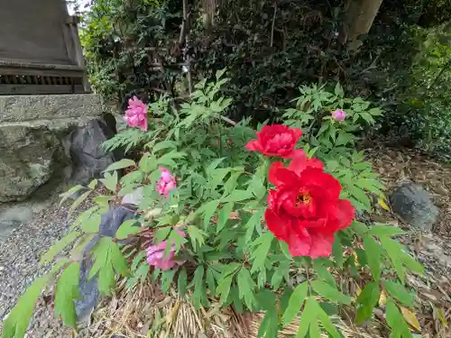 総持寺(滋賀県)