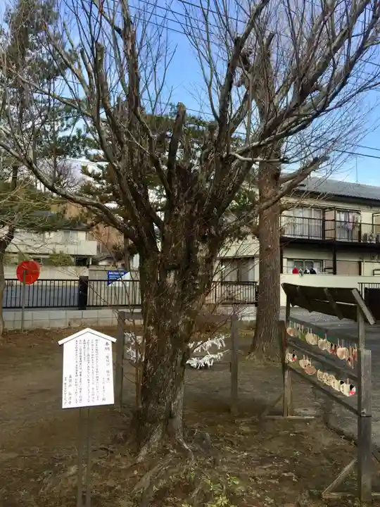 手児奈霊神堂の自然