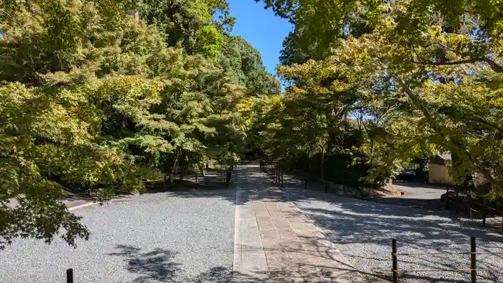 光明寺(粟生光明寺)(京都府)