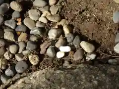 亀戸 香取神社のお守り