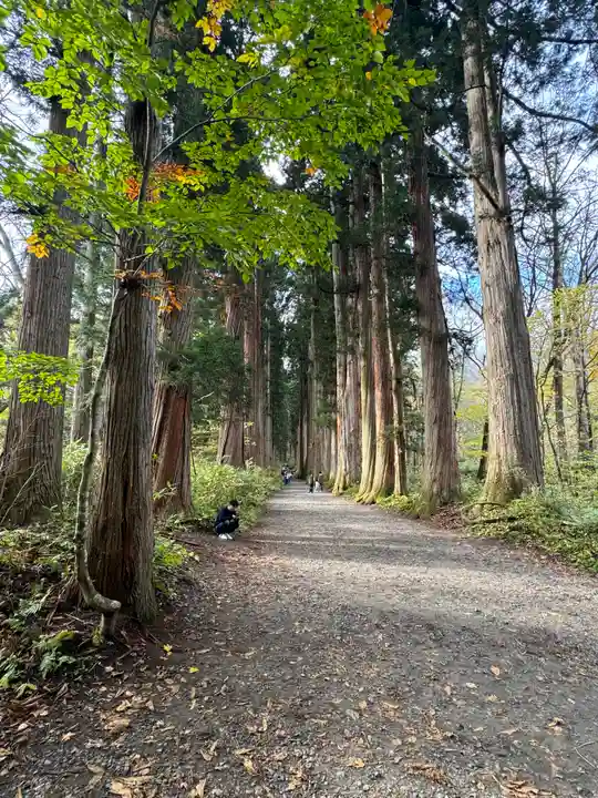戸隠神社奥社(長野県)