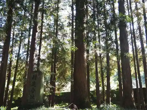 精進川浅間神社の自然