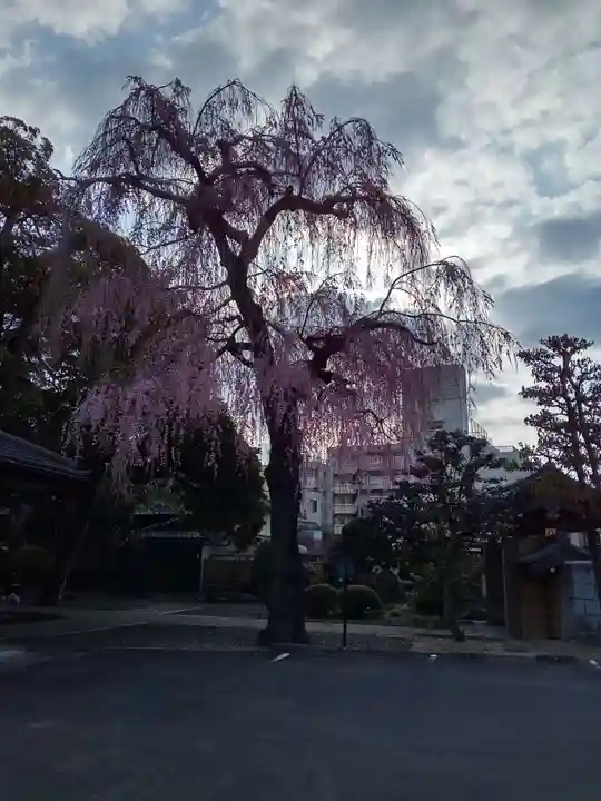 道仁寺(宮城県)