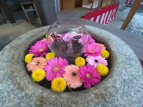 西宮八幡宮(山口県)