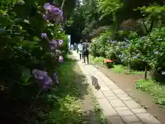 鷲子山上神社の動物