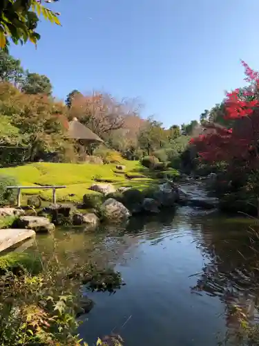 退蔵院の庭園