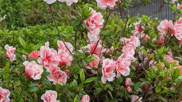 谷ヶ堂最福寺(延朗堂)(京都府)