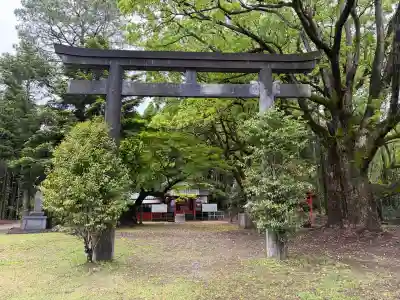 日枝神社の{uncategorized: "未分類", other: "その他", undefined: "問題あり", building: "その他建物", grave: "お墓", sacred_gate: "鳥居", guardian: "狛犬", statue: "像", buddha: "仏像", history: "歴史", nature: "自然", garden: "庭園", animal: "動物", pagoda: "塔", temizu: "手水舎", mountain_gate: "山門・神門", sanctuary: "本殿・本堂", subordinate: "末社・摂社", art: "芸術", scenery: "景色", jizo: "地蔵", ema: "絵馬", goshuin: "御朱印", omikuji: "おみくじ", items: "授与品その他", amulet: "お守り", goshuincho: "御朱印帳", eats: "食事", festival: "お祭り", votive_dance: "神楽", shichigosan: "七五三参", wedding: "結婚式", experience: "体験その他", initially: "初詣", around: "周辺", anti_infection: "感染症対策"}