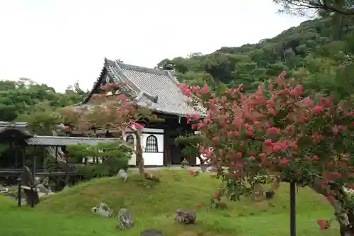 高台寺（高台寿聖禅寺・高臺寺）(京都府)