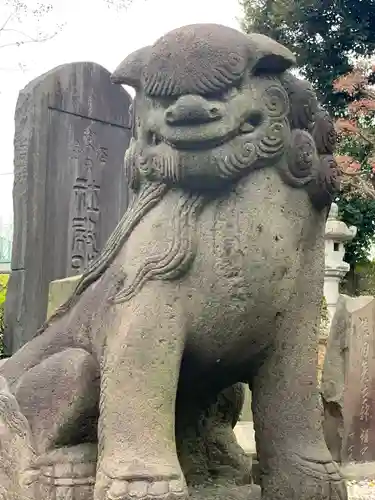 赤羽八幡神社の狛犬