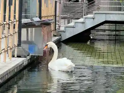 頂法寺（六角堂）(京都府)