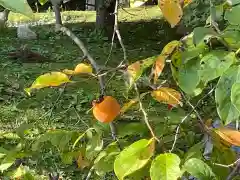 伊勢の国 四天王寺の庭園