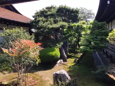 大覚寺(京都府)