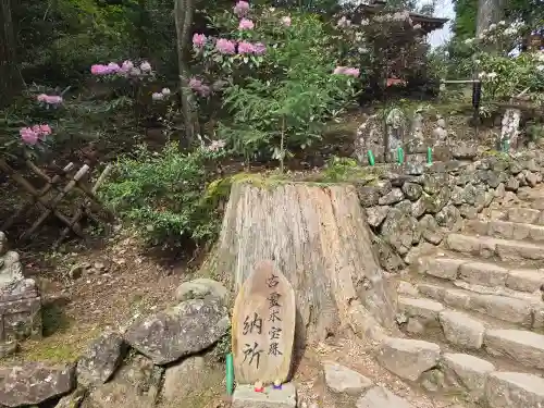 室生寺(奈良県)