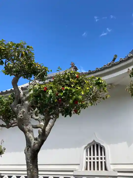 宝持院のその他建物