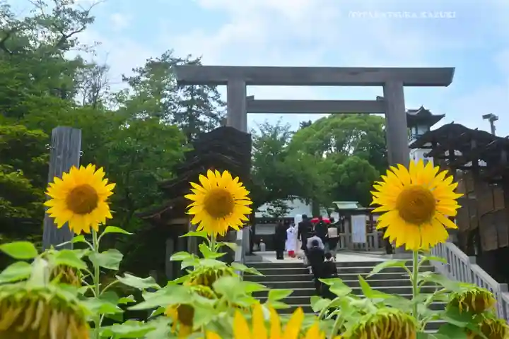 伊勢山皇大神宮(神奈川県)