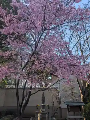 天王寺(東京都)