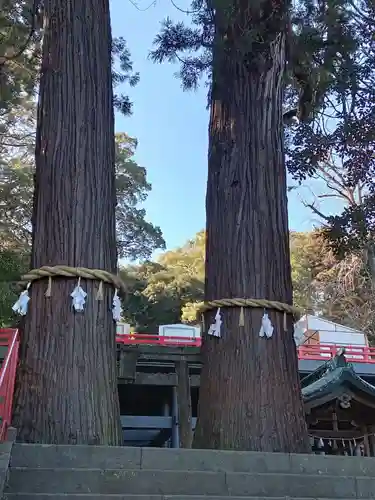 八幡朝見神社(大分県)