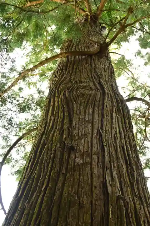 燒火神社(島根県)