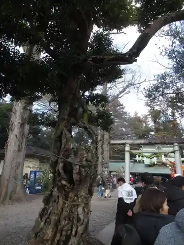 一言主神社(茨城県)