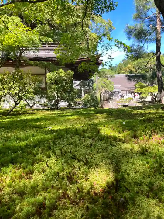 慈照寺(慈照禅寺・銀閣寺)の自然