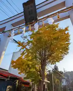 大宮八幡宮(兵庫県)(2022年11月22日(火) 14時18分39秒投稿)