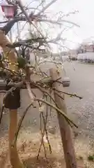 尾張大國霊神社（国府宮）の周辺