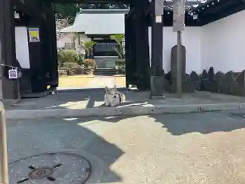 盛徳寺の御朱印 2026年03月