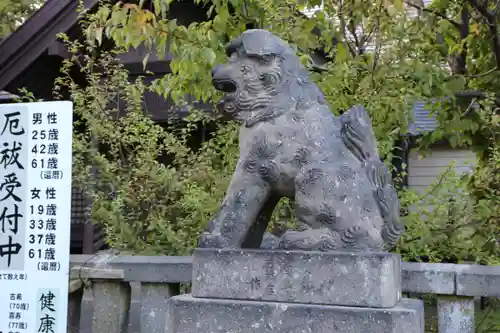 石狩八幡神社の狛犬