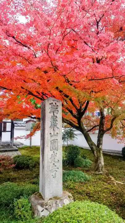 圓光寺(京都府)