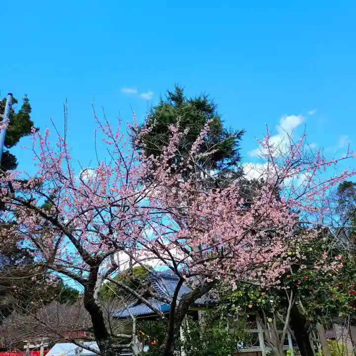 牟呂八幡宮(愛知県)